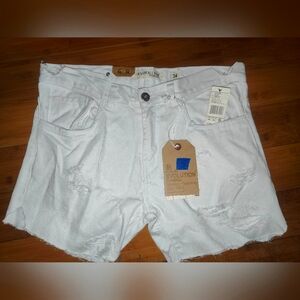 Women's shorts